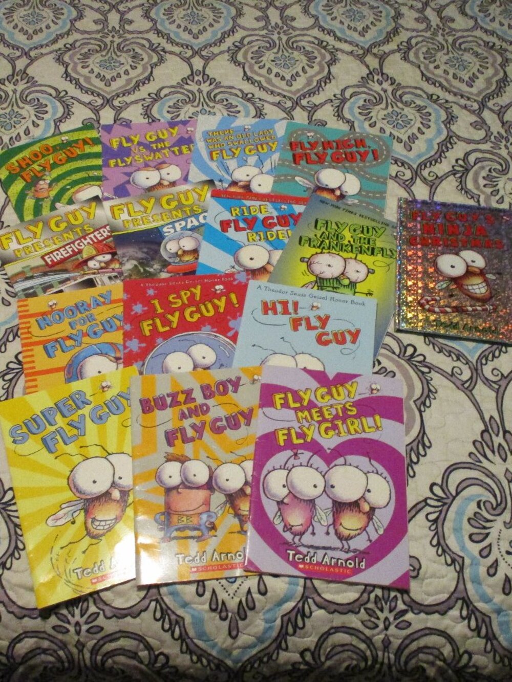 15 Fly Guy Books